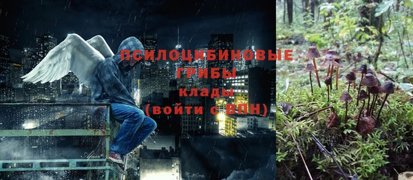 соль ск Алексин