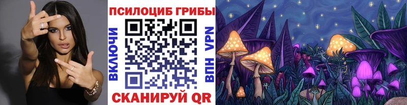 сайты даркнета наркотические препараты Собинка Галлюциногенные грибы Cubensis kraken ссылки
